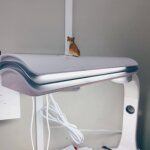 研究室の卓上ライトの上で勉強を見守ってくださる柴犬