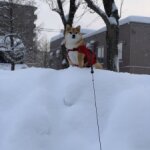 雪山と柴犬