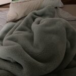 今日はかなり寒いですね🥶ワンちゅうが使ってた毛布にネムもくるまってます笑🐶かわいい☺️それと手作りおやつ作ってます☺️喜んでくれるといいけどね！🐶 #柴犬 #寒い #おやつ